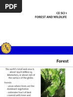 7 Forest and Wildlife