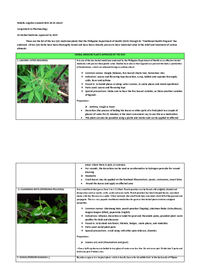 10-herbal-medicine-approved-by-doh-pdf-garlic