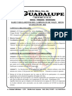 Campeonato Guadalupano de Voley 2021 - Bases