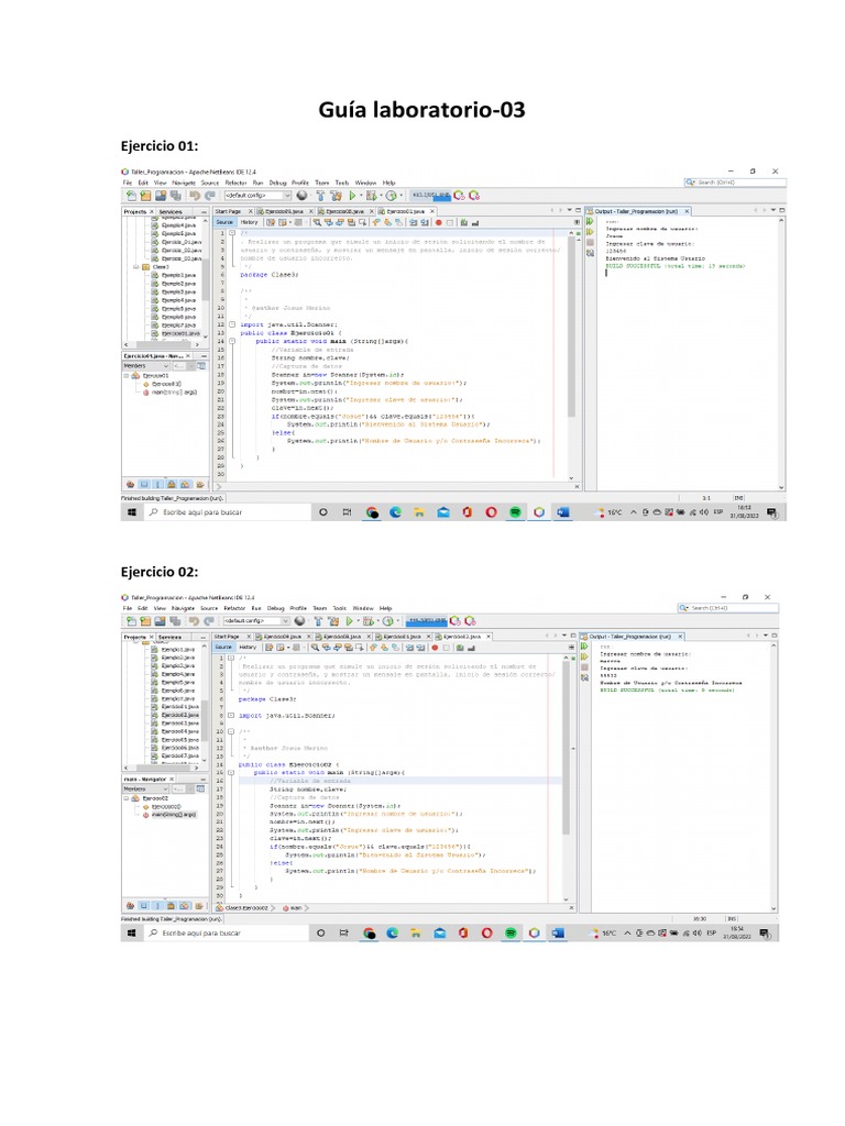 Guía Laboratorio 03 | PDF