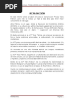 ABRA PATRICIA informe