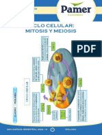 BIOLOGÍA - S6 - Ciclo Celular. Mitosis y Meiosis