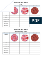 Sistem Gerak Pada Manusia - Otot