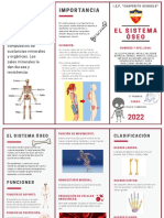 Sistema Óseo