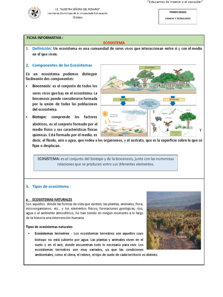 Tipos y características de ecosistemas | PDF | Ecosistema | Suelo