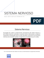 Semana 12 - Sistema Nervioso