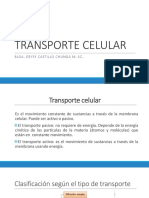 Semana 10 - Transporte Celular