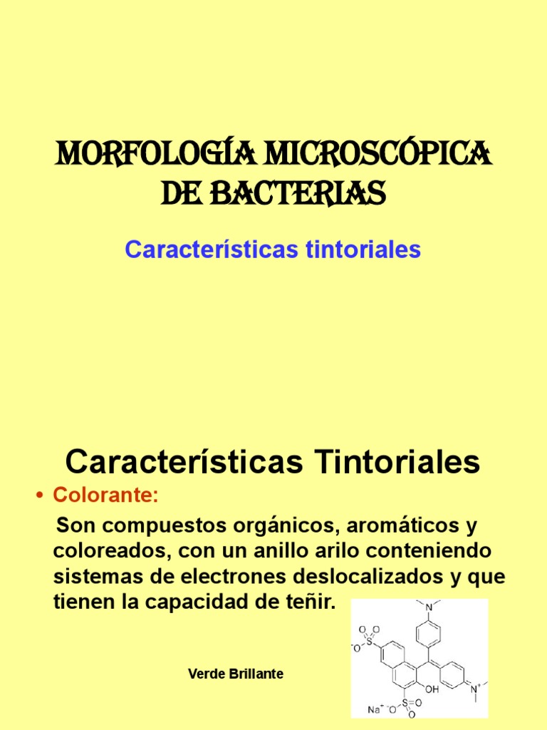 Colorantes y Tinciones CLASE QBP 20202021 PDF Tinción Bacterias