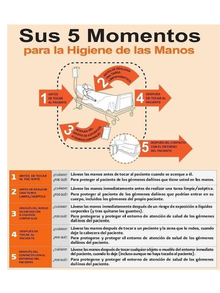 5 Momentos Del Lavado de Manos | PDF