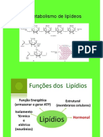 Metabolismo de LipÃ - Deos