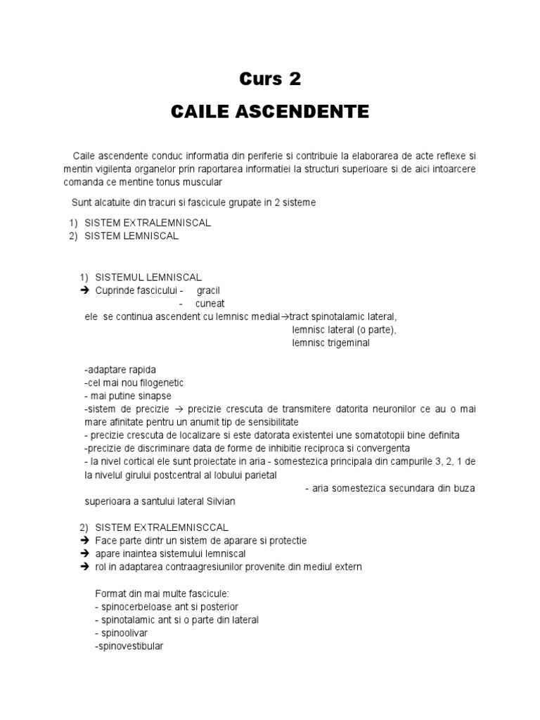 Curs 2 | PDF