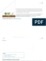 Fotosíntesis - Qué Es, Fases e Importancia - Resumen Con Esquemas