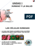 Ser Humano y Salud