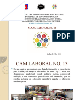 Presentacion CAM LABORAL 2022