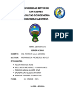 Perfil de Proyecto Espiga de Oro Ultimo