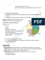 Semi 1 Genetica