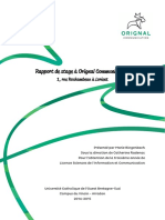 Rapport Stage Orignal L3