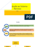 Introdução Ao Sistema Nervoso 2022