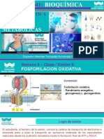 SEM 6 - Fosforilacion oxidativa