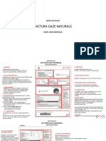 Ghidul Explicativ Al Facturii de Gaze Naturale