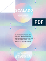 Presentacion Escalado de Biodiesel.