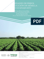 1077 4761 Variedades de Frijol y Producción de Semillas en Guanajuato