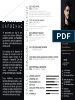 Daniel Cardenas CV