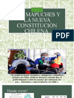 Los Mapuches y La Nueva Constitución Chilena