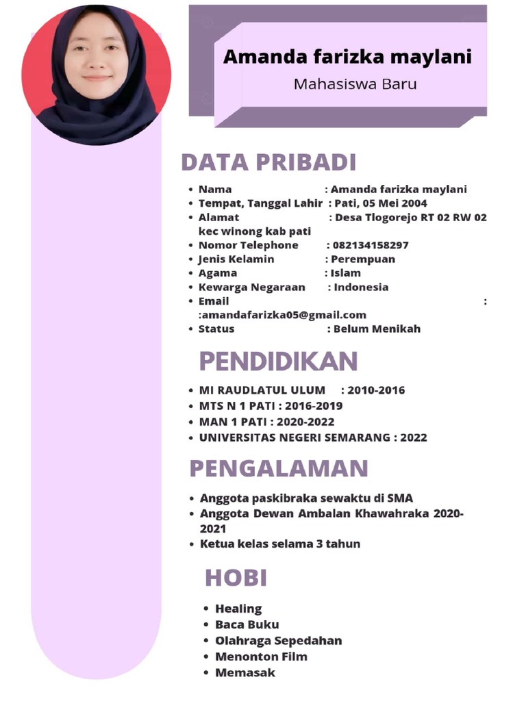 CV Amanda Farizka Maylani | PDF