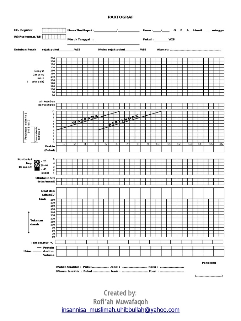 Format Partograf Persalinan Terbaru | PDF