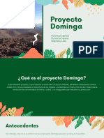 Proyecto Dominga. Canario, Cabrera, Lazo