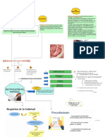 Rectificación de Partidas