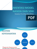 Dokumentasi Model Nanda Dan Sdki 2022