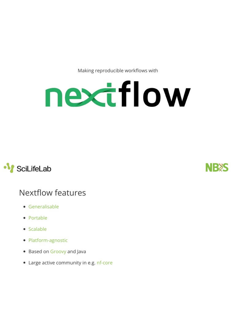 Nextflow PDF Information Age Computing
