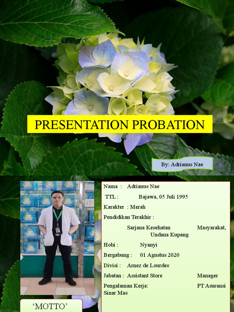 Slide Probation Adrian Pdf