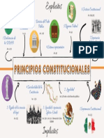 Principios Constitucionales