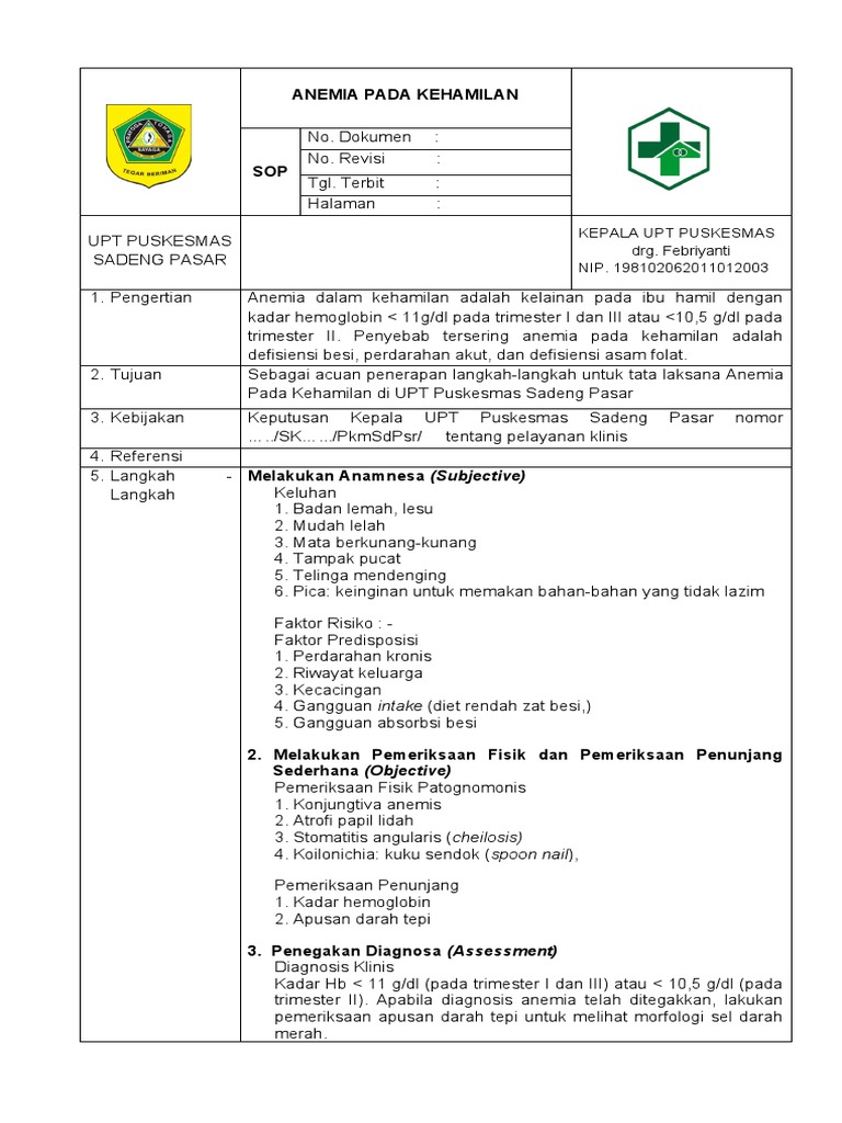 Diagnosis Anemia pada Ibu Hamil | PDF