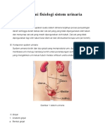 Anatomi Fisiologi Sistem Urinaria