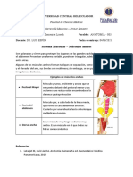 Analisis de Las Diapositivas