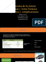 22.aneurisma Arteria Pulmonar