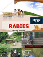 rabies-naruh-160530163943