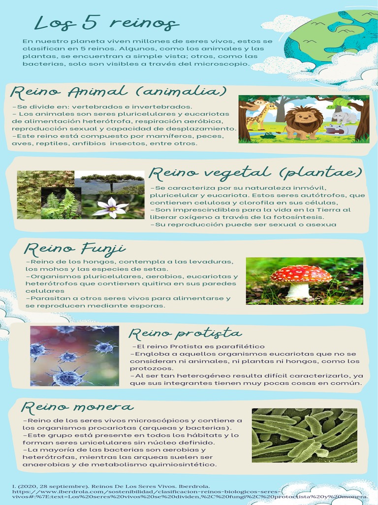 5 Reinos | PDF | Eucariotas | Plantas