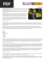 A Uva Cabernet Sauvignon