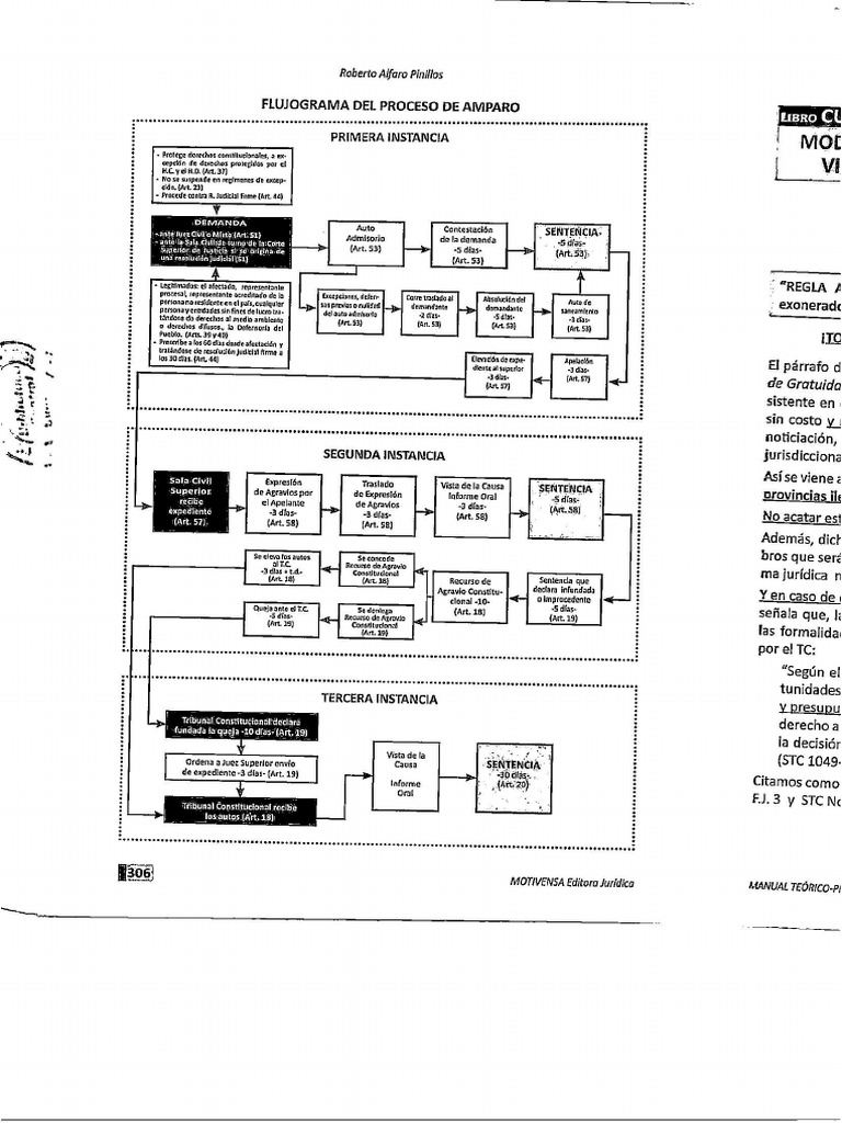 Flujograma Proceso de Habeas Corpus y Amparo | PDF | Habeas corpus ...