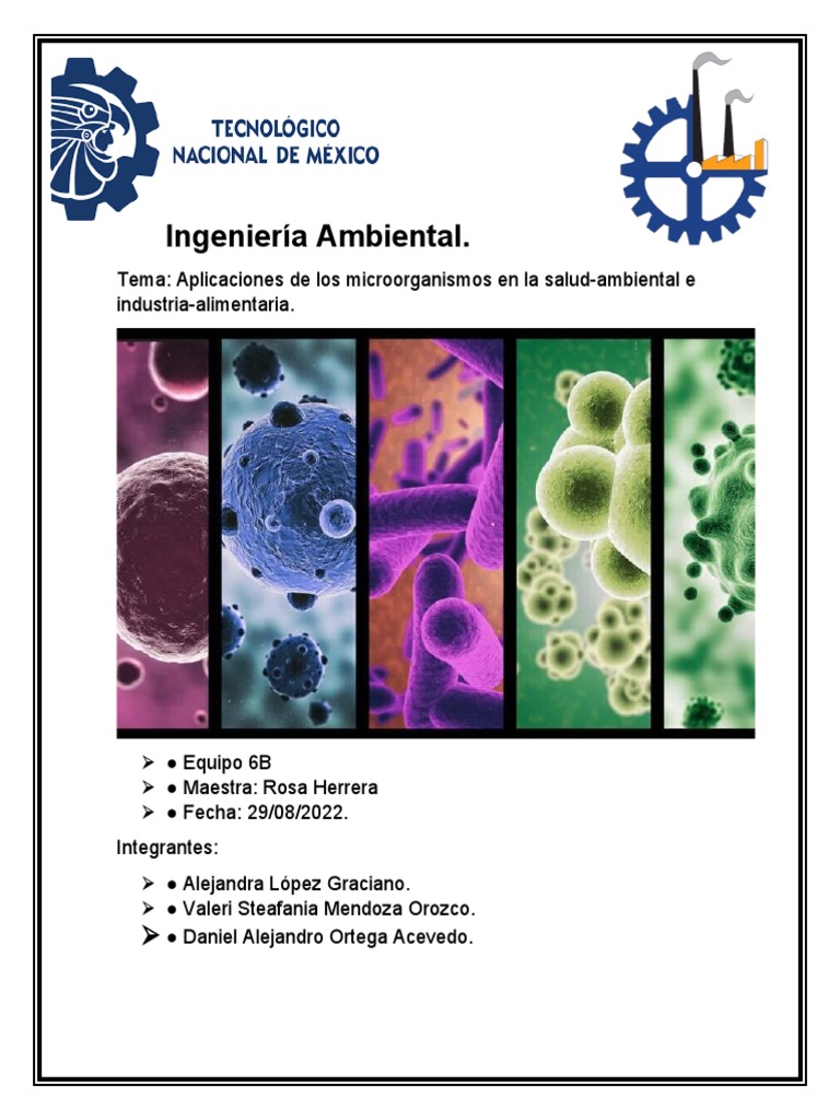 Aplicaciones de Microorganismos en Alimentos | PDF | Fermentación | Las ...