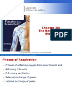 16 Respiratory System