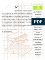 Reporte 4 - Mendoza Islas - DIslexia