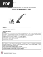 Evaluacion Sumativa N°1 Comprensión Lectora