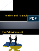 Chap2The Firm