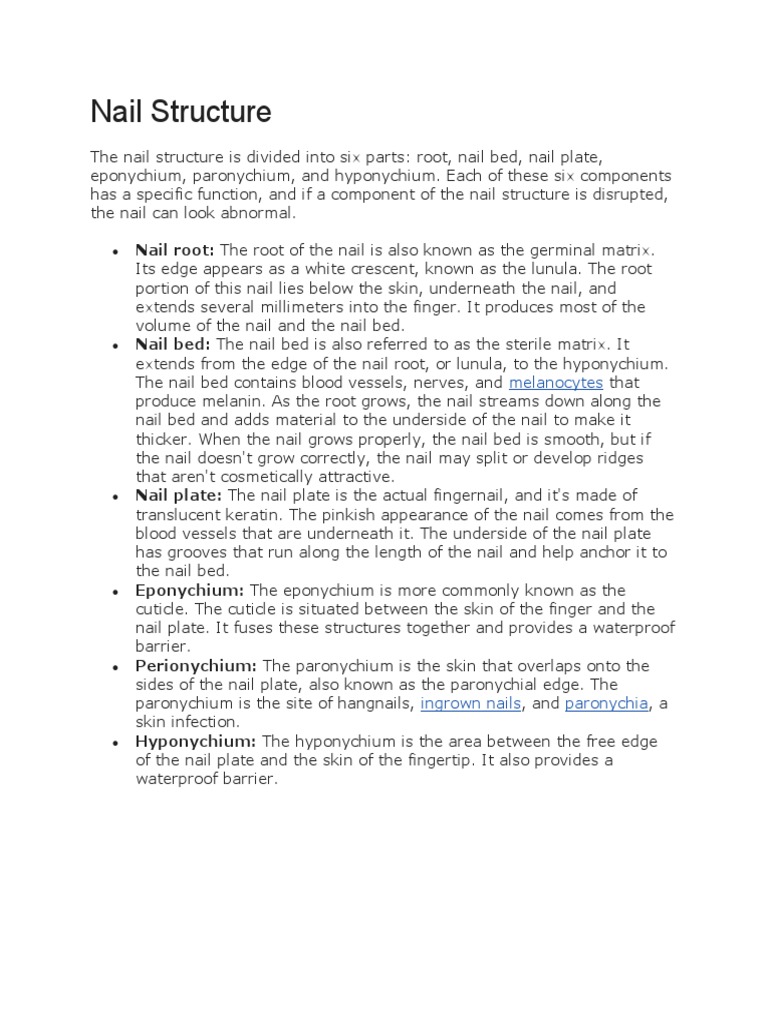 Nail Structure | PDF